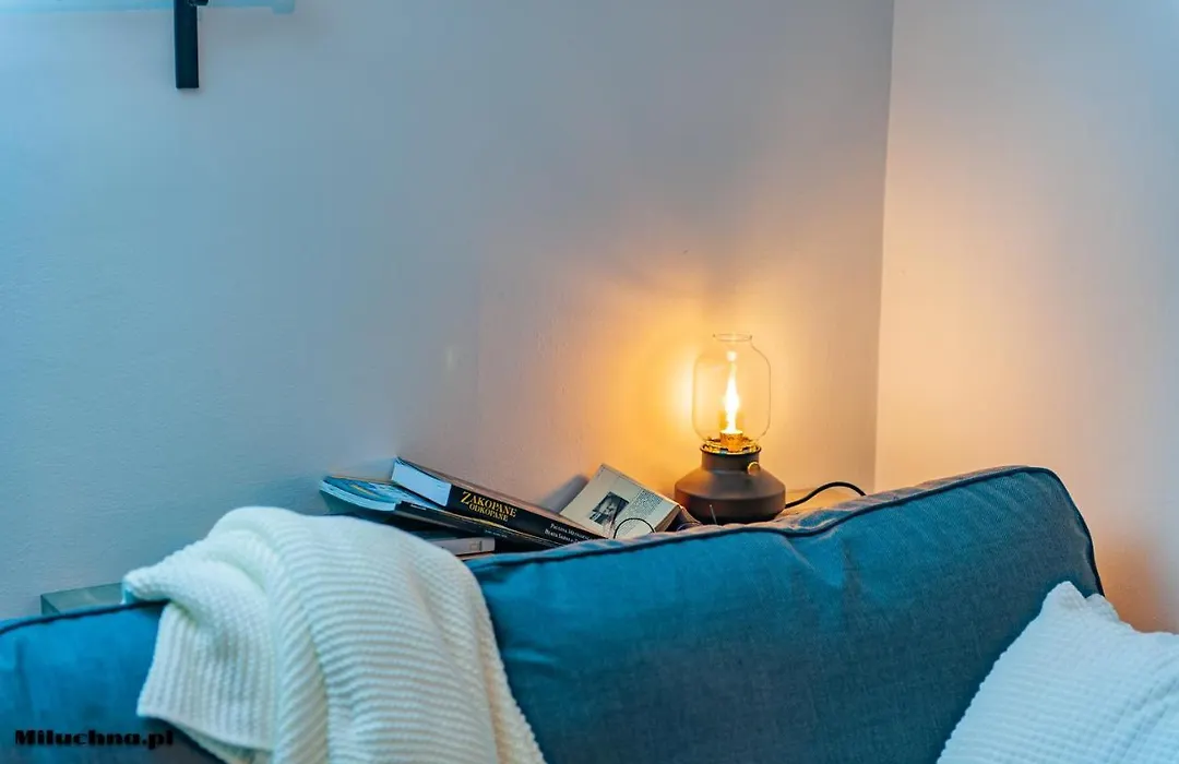 Apartamenty Miluchna B&B blisko Dworca PKP-1