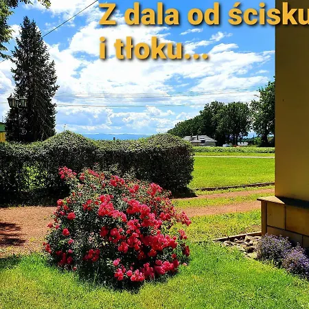 Pałac Bażantarnia-3
