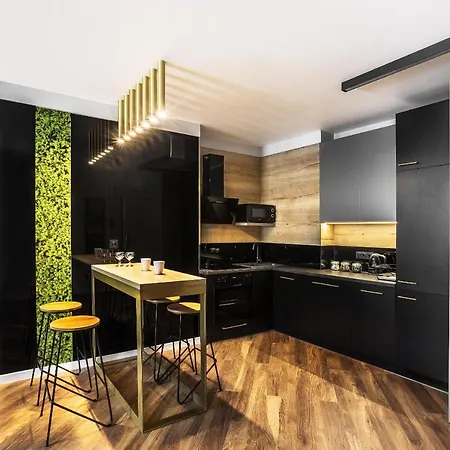 Apartamenty Nowa Kamienica Częstochowa Centrum Szymanowskiego 22A-2