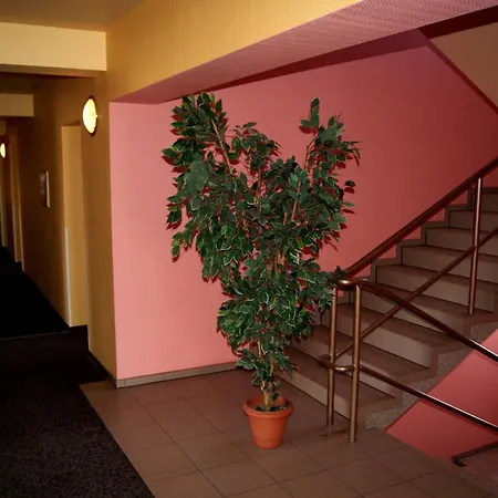Hotel Holidays-2