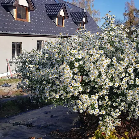Pokoje Gościnne Art- Dworek-2