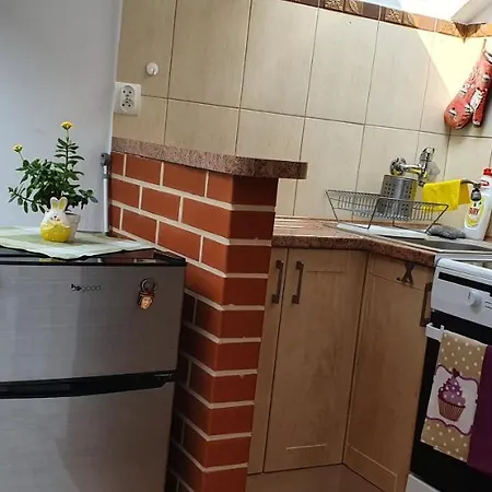 Apartament i Pokoje Gościnne MUSZELKA-2