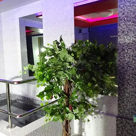 Magiczne Korale - Natural House - Sauna - ADULT ONLY-2