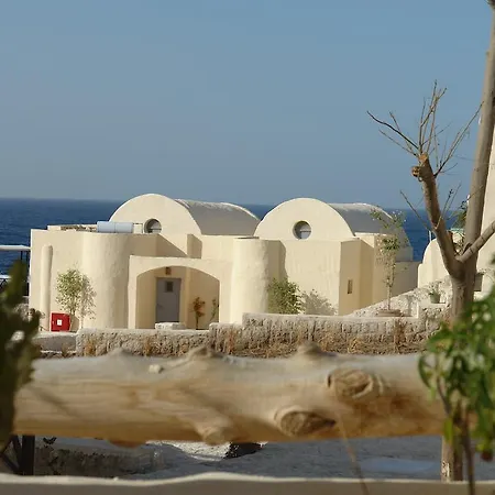 The Oasis-2
