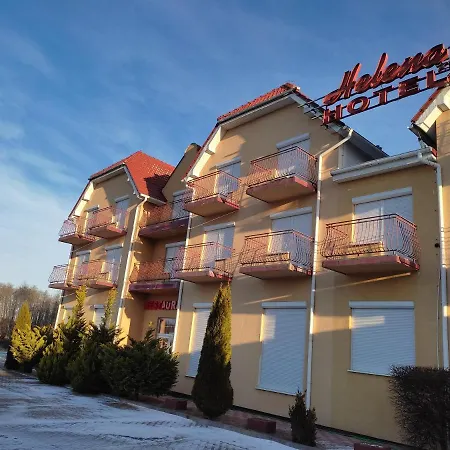 Hotel Helena-2