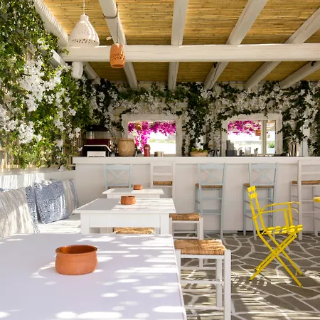 Alexandros Hotel Athens, Vassilicos House Of Hospitality-2
