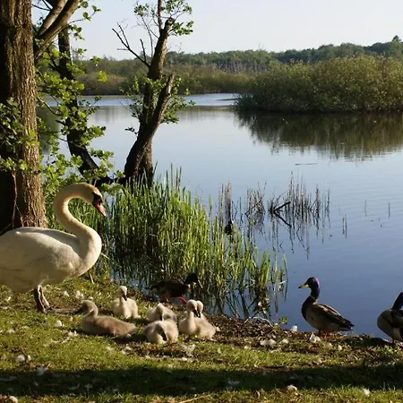 Pokoje Gościnne Holtur Podczele-2