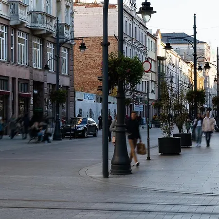 Dream Aparts - Piotrkowska 56-2