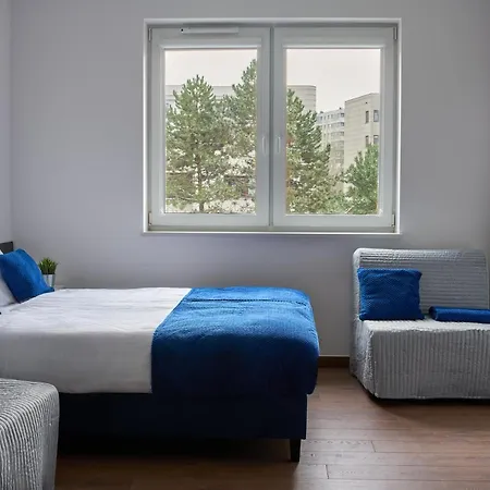 Top Loft Znana-2