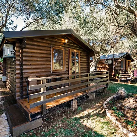 Holiday Park Olive Tree-2