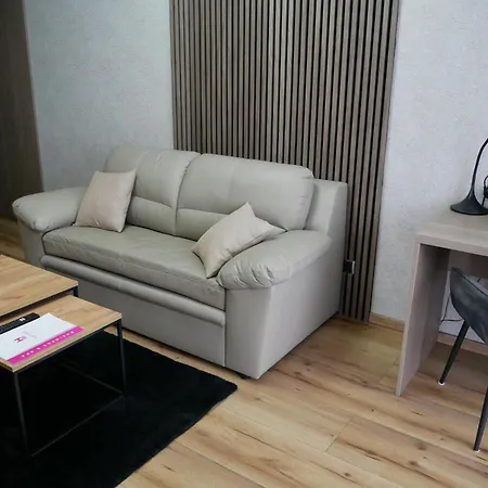 Hotel Oskar Business & Spa-3