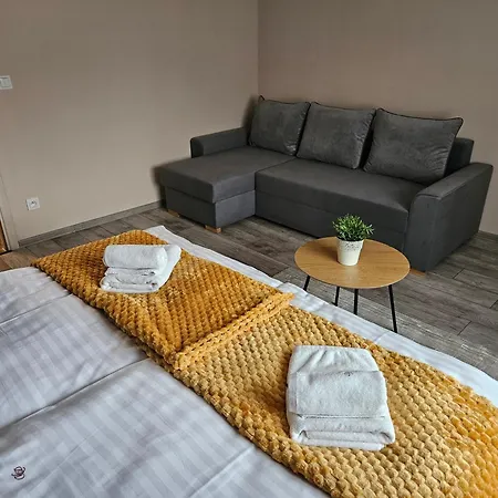 Virgo Premium Business Apartments Rumia-3