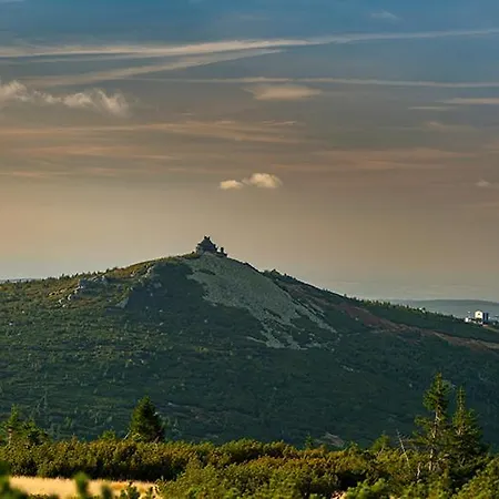 Górska Róża-2
