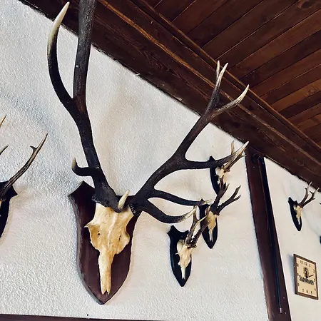 Myslivna Harrachov-3