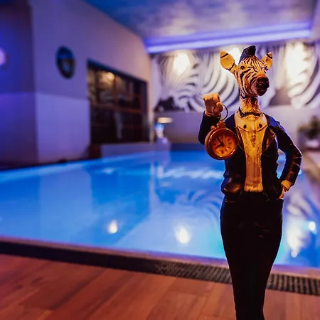Hotel Kotarz Spa&Wellness-2