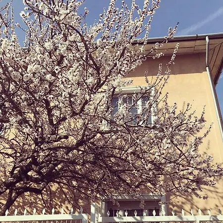 Kis Gellert Guesthouse-3