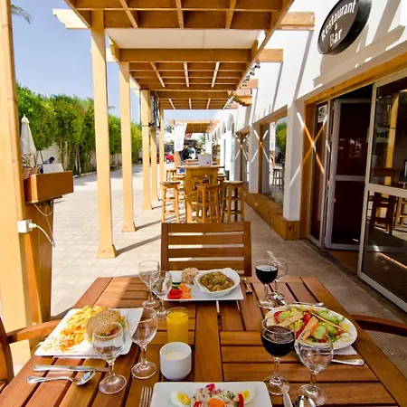 Oonas Dive Club-2