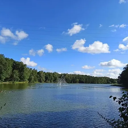 *Dana pokoje gościnne-3