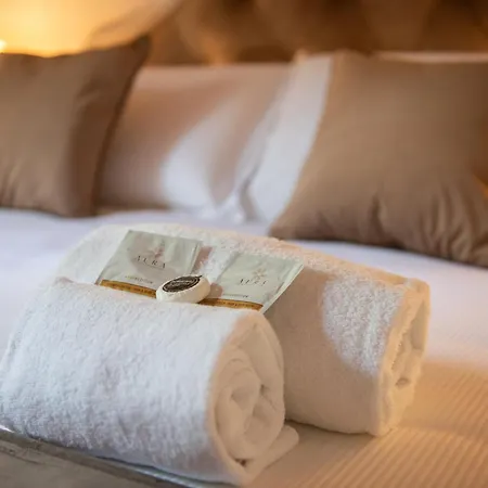 Regina Rooms Pisa-3