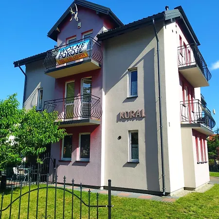 Koral-2