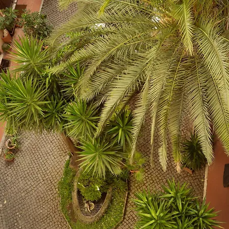 La Casa Di Amy-2