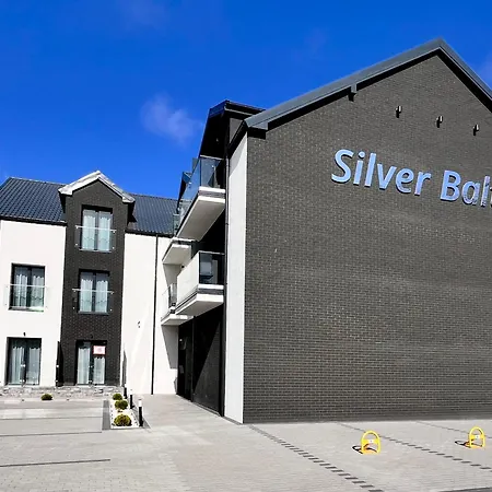Silver Baltic-3