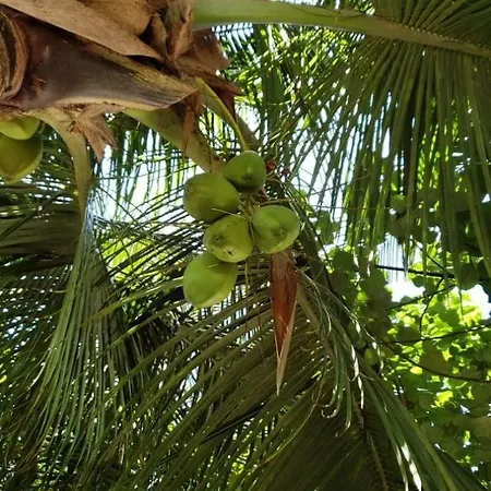 Tiwi Beach resort&spa-3