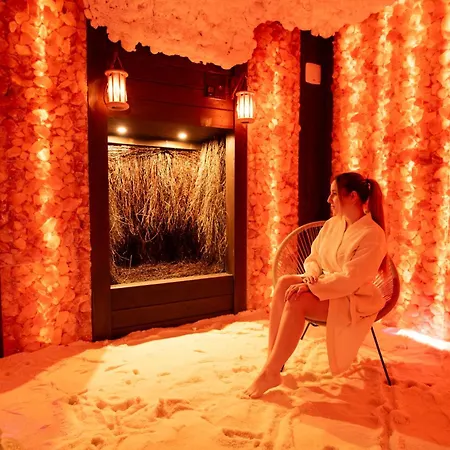 Hotel Aviator Kielce "Business Hotel Medical & Spa"-3