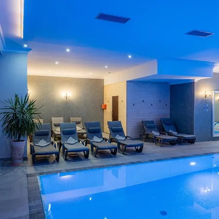 Hotel Paryski Art&Business Zakopane - Basen Jacuzzi Sauna Małpi Gaj-2