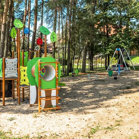 Róża Wiatrów-3