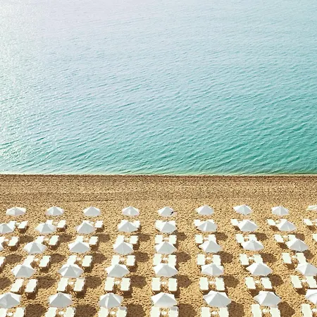 Grifid Hotel Foresta (Adults Only)-2