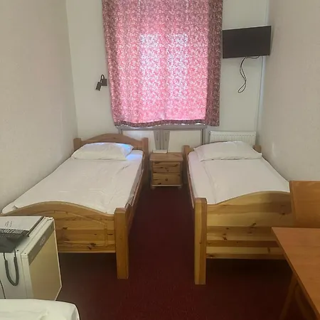 Hotel Pension Walzerstadt-3