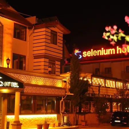 Selenium Hotel-2