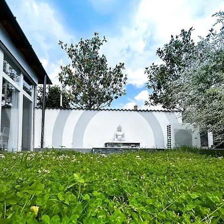 Zen House Adult Only 16Plus-2
