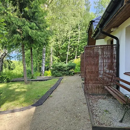 Siedlisko Brzeziniak-3