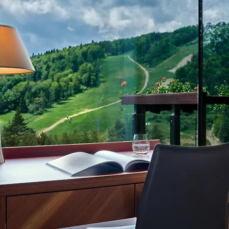 Hotel Spa Dr Irena Eris Krynica Zdrój-3