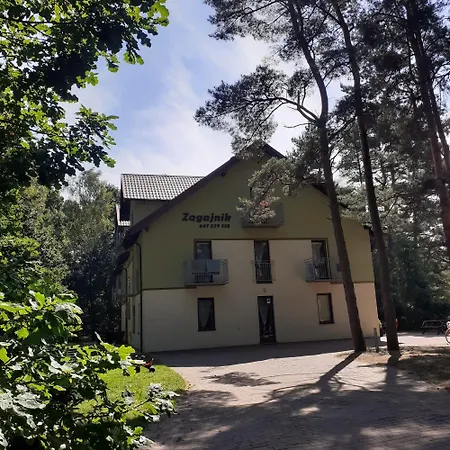 Zagajnik-2