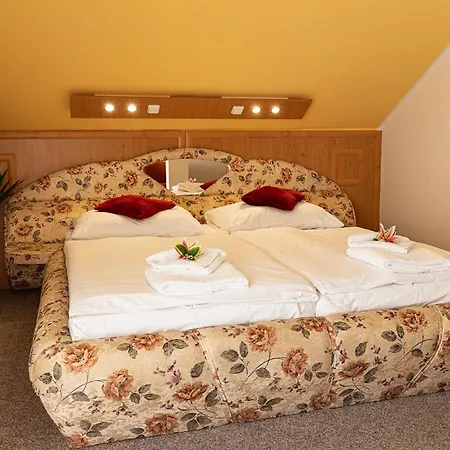 Hotel Zamecek-3