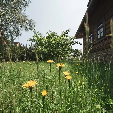 Polana Sosny-2