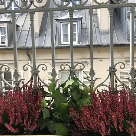 Hotel Corona -Rodier--2