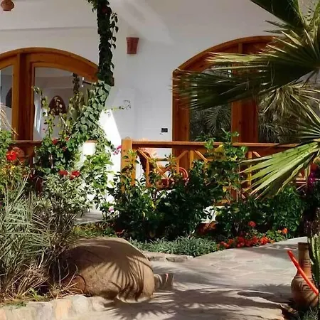 Planet Oasis Resort Dahab-2