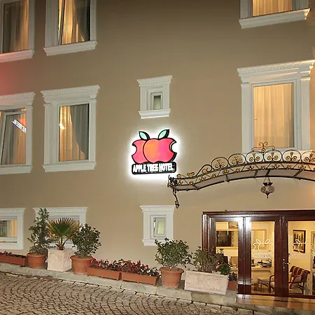 Apple Tree Hotel-3
