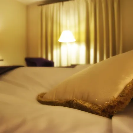 Hotel Amaryllis-2