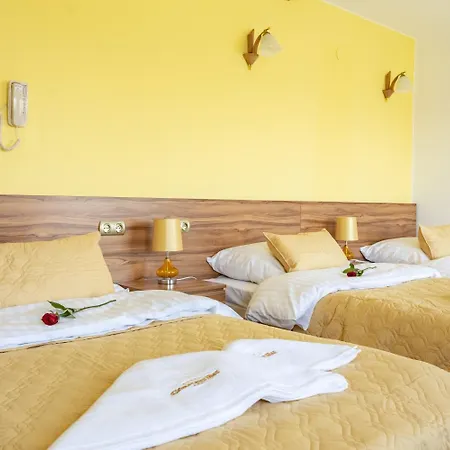 Hotel Góralski Raj-2