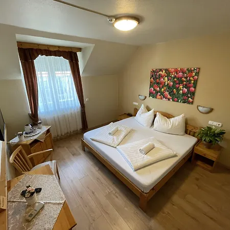 Hotel Karin-3