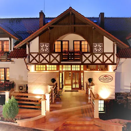 Hotel Dziki Potok Karpacz Konferencje&SPA-3