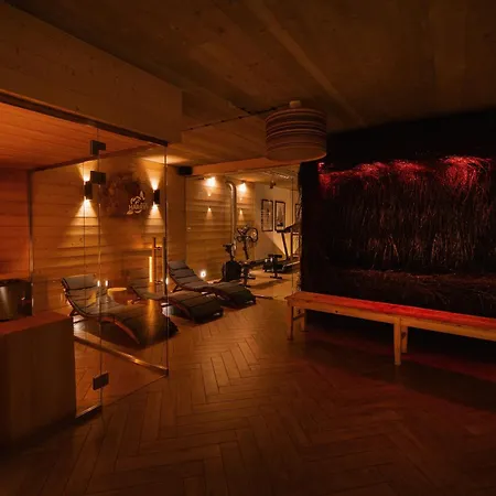 Apartamenty u Harrego BOUTIQUE SPA z klimatyzacja, balkon, sauna, tężnia parking-3