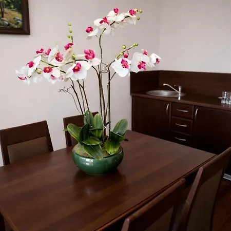 Budowlani Wellness&Medi Kompleks-3