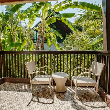 Hula Hula Resort L Truly Tropical And Fun Wellness-2