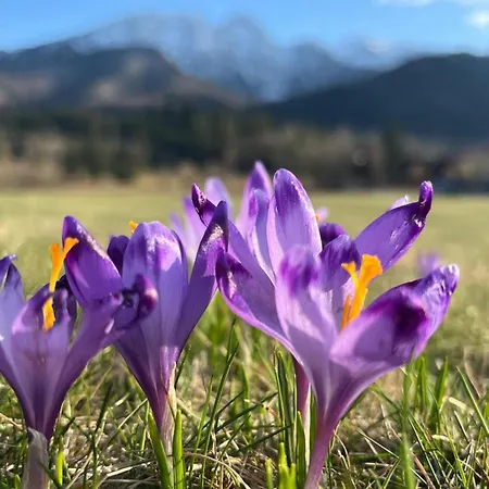 Radisson Blu Hotel&Residences Zakopane-3